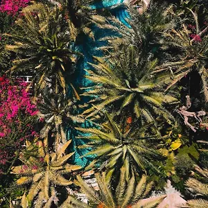 *** Hotel Flamingo & - Pet Friendly Turkey